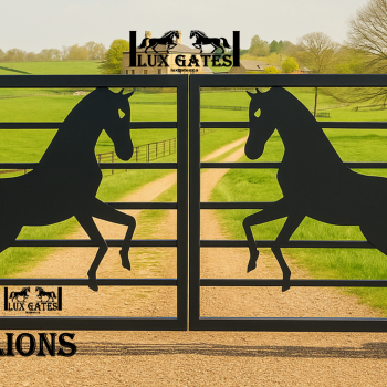 stallions